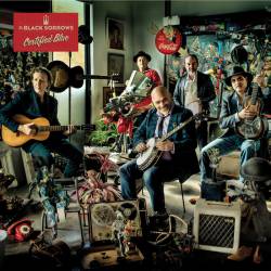 The Black Sorrows : Certified Blue